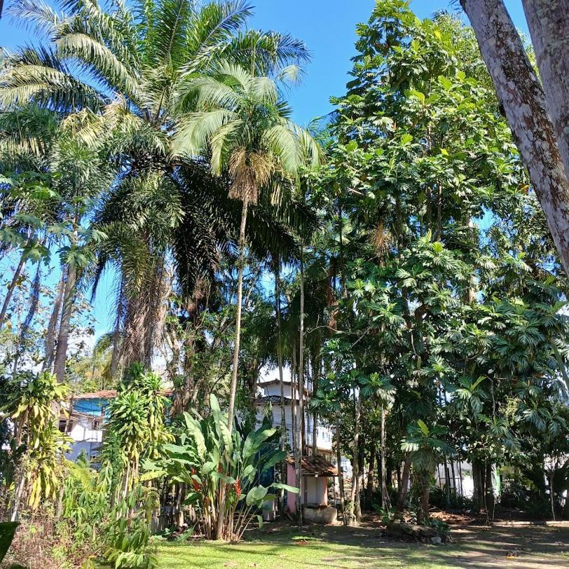 Villa Dos Passaros Paraty Hospedagem エクステリア 写真
